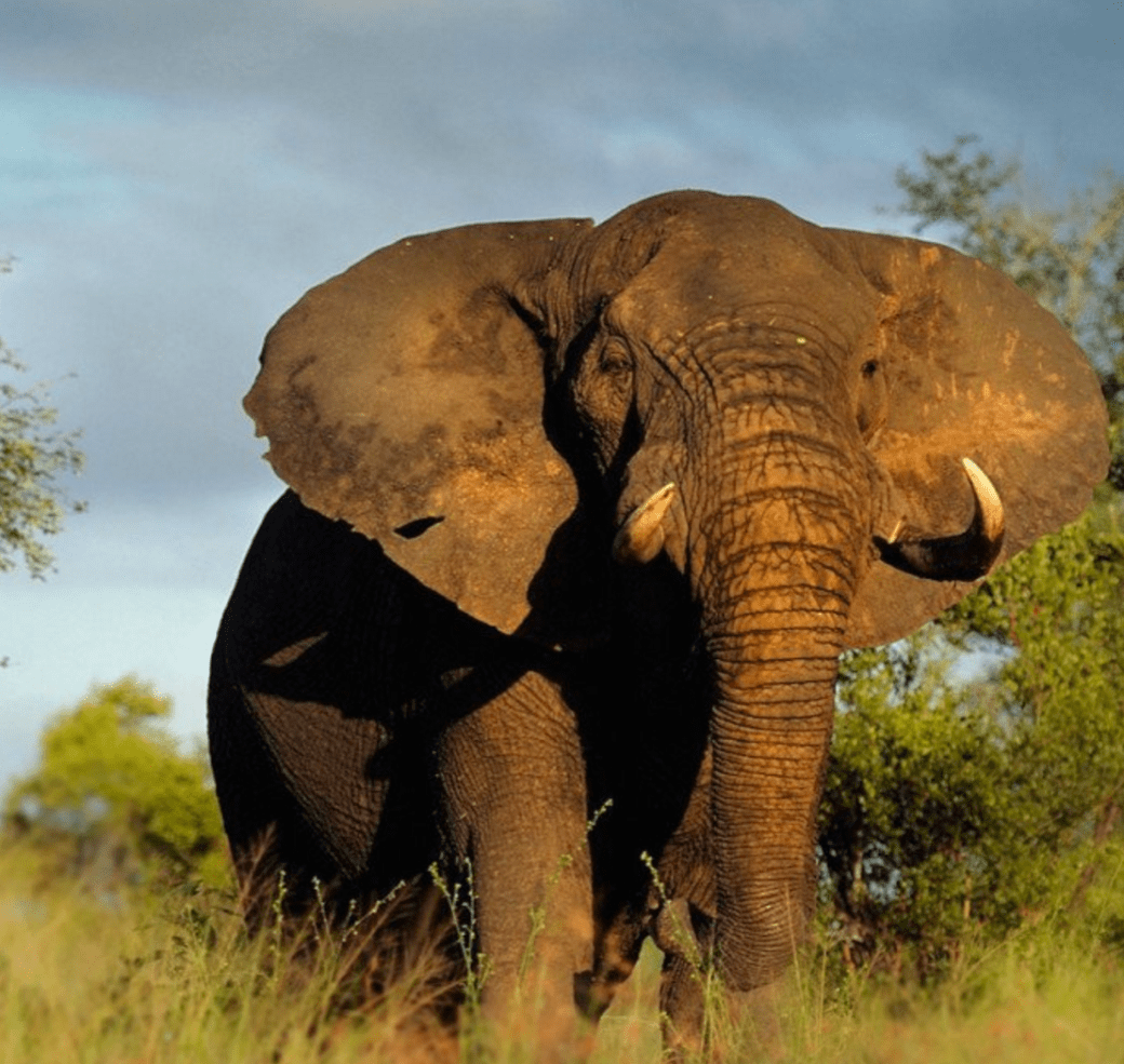 screen-shot-2016-11-21-at-11-24-37-am