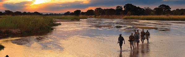 screen-shot-2016-11-01-at-9-20-59-am