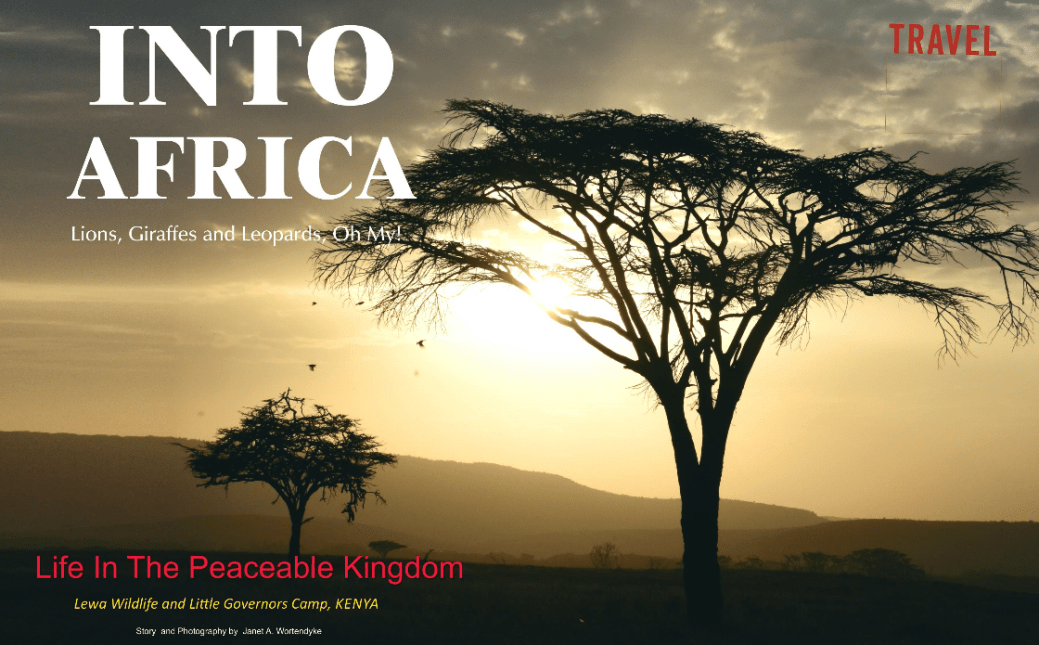 Screen Shot 2018-03-12 at 10.49.43 AM