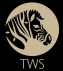 cropped-tws-logo.png